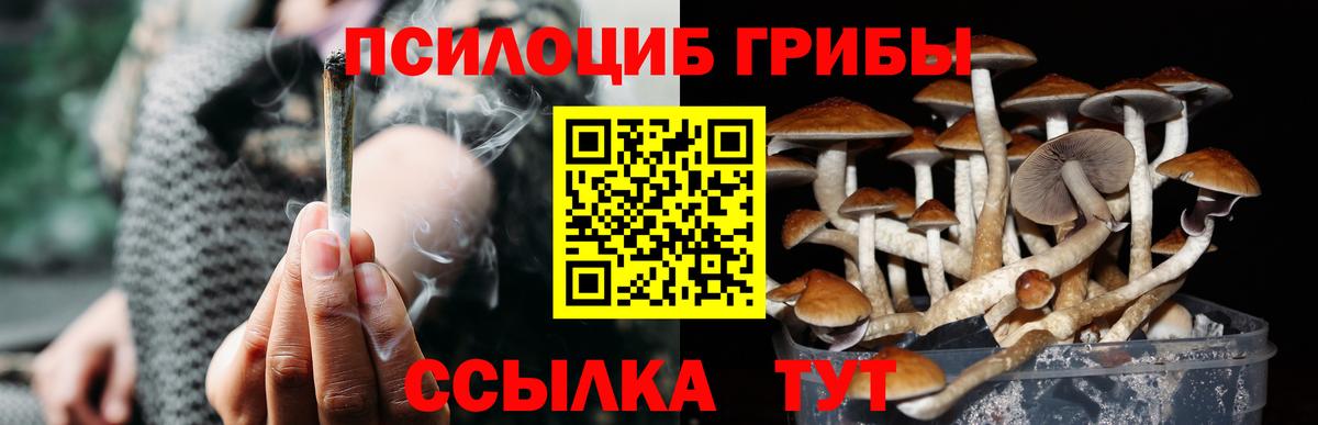 Псилоцибиновые грибы прущие грибы Юрга